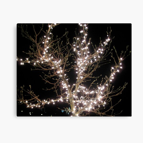 lit Canvas Print