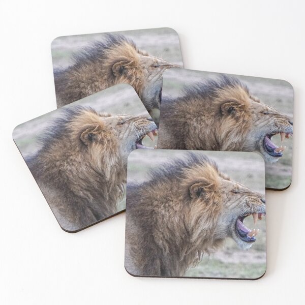 Item preview, Lion Squinty Face designed and sold by ETBtravelphotog.