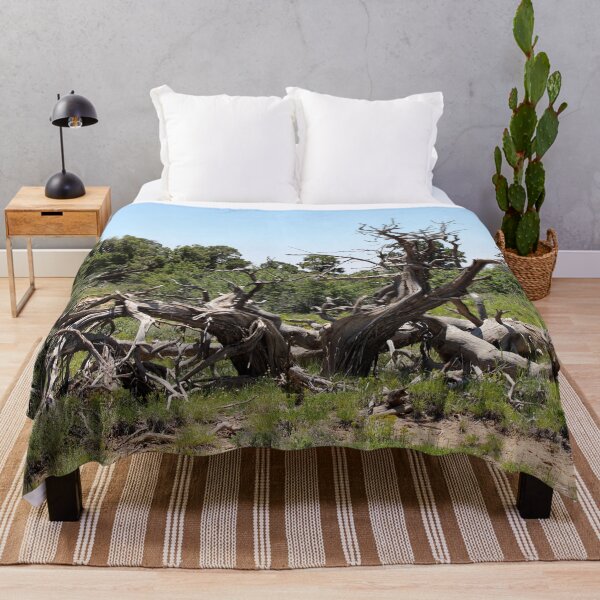 Item preview, Gnarly Tree designed and sold by Susie Kramer.