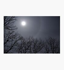 Annoyance turned Beauty Photographic Print