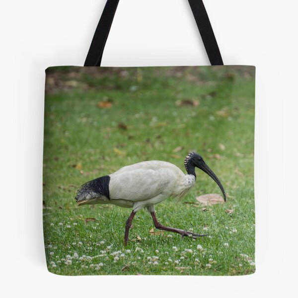 Item preview, Australian Ibis designed and sold by LizardSpirit.
