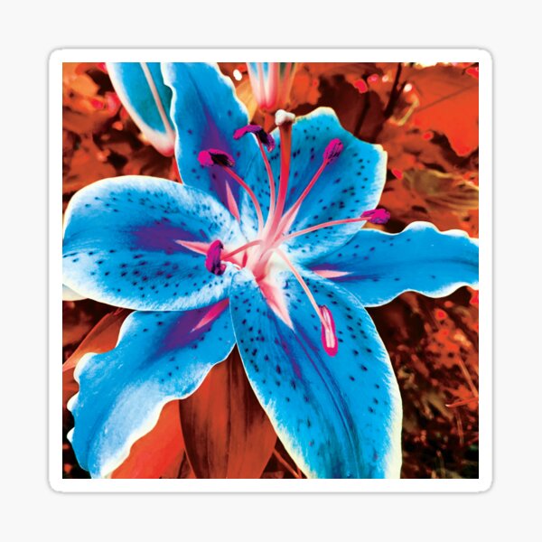 Flower Power - Royal Indigo Blue by Jerald Simon (Music Motivation - musicmotivation.com) Sticker