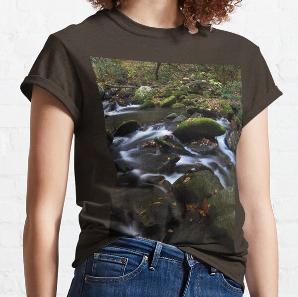 Hidden Away Classic T-Shirt