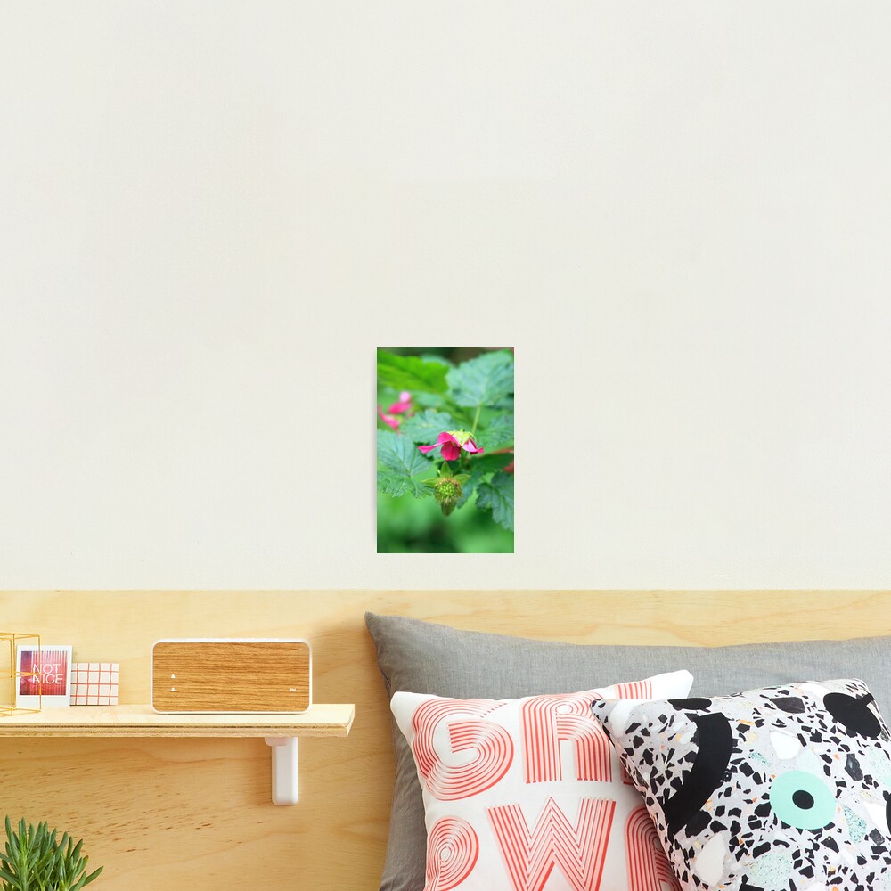 Item preview, Photographic Print designed and sold by MissMimi63.