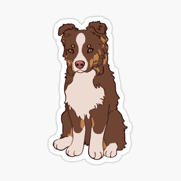 Red Tri Australian Shepherd - Aussie Ripley Sticker