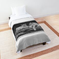 Two brothers the Lions Comforter