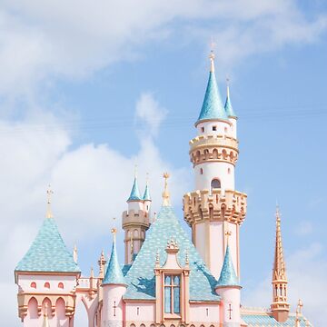 Afternoon Castle | Photographic Print