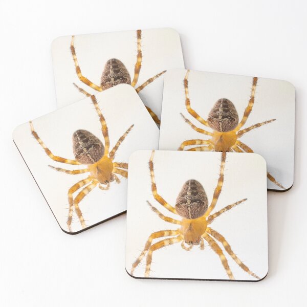 Item preview, Cross Orb-weaver Spider designed and sold by nwbirdscapes.