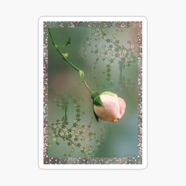 Penny Postcard Chinoiserie Sticker