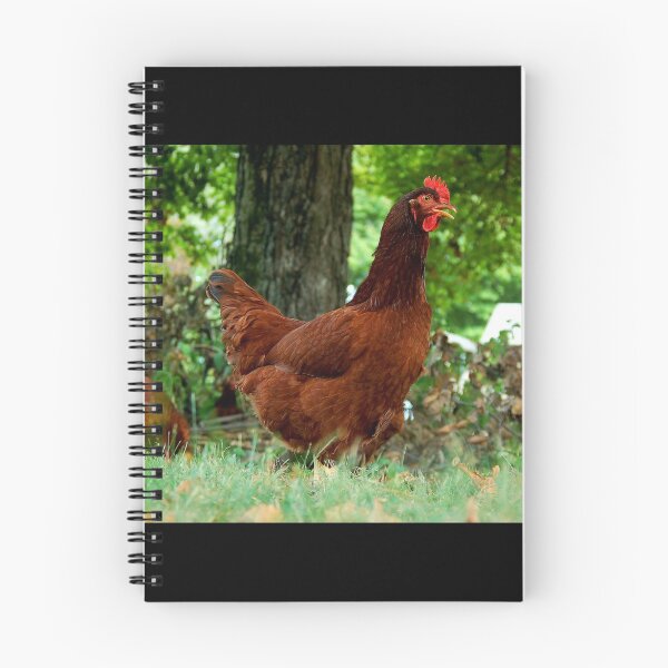 Item preview, Free Range designed and sold by Amber Ryder.