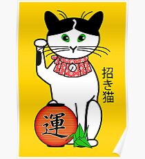 Maneki neko (Japanese lucky cat) Peony Poster