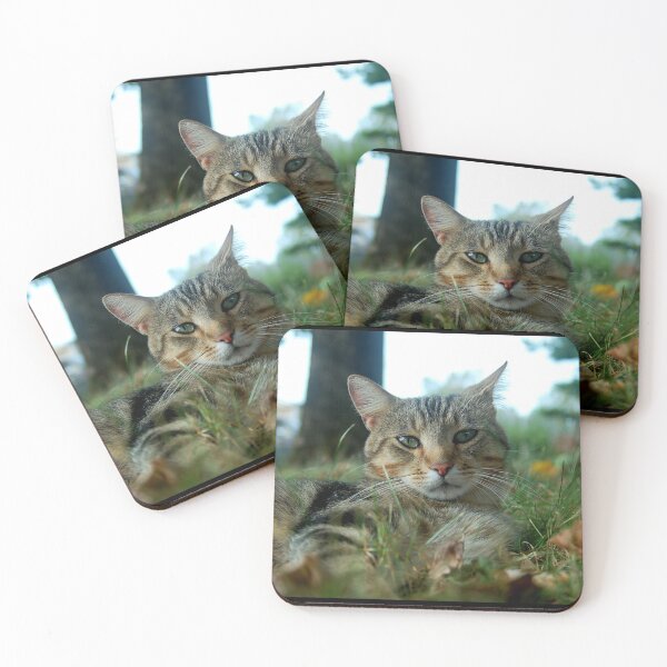 Item preview, Grass Tabby designed and sold by Amber Ryder.