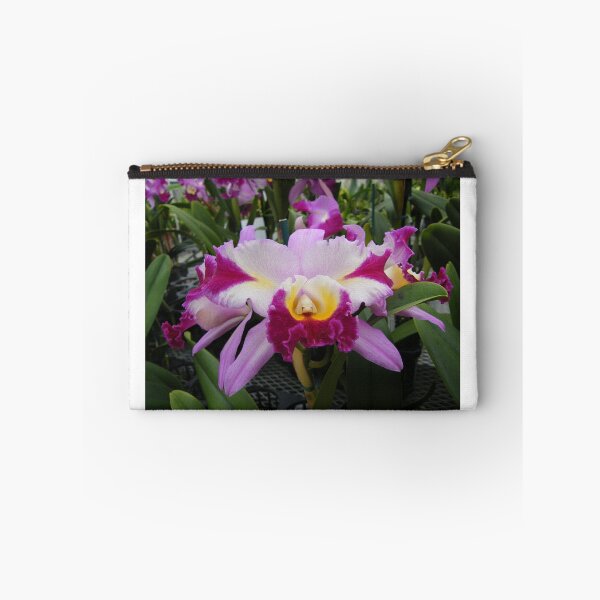 Item preview, Beautiful Cattleya Orchids.... designed and sold by DonnaMoore.