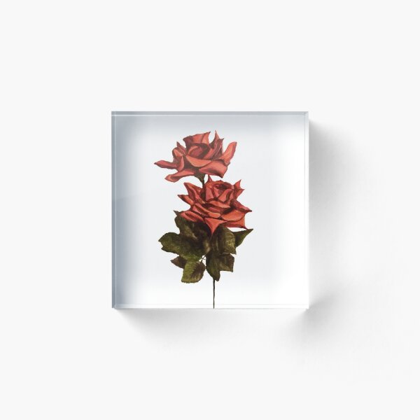 Roses Sketch by Kelli Crockett Acrylic Block