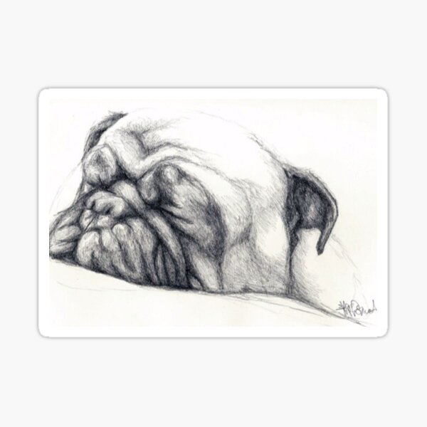 Pegatinas Cachorro Pug Beb C3 Redbubble