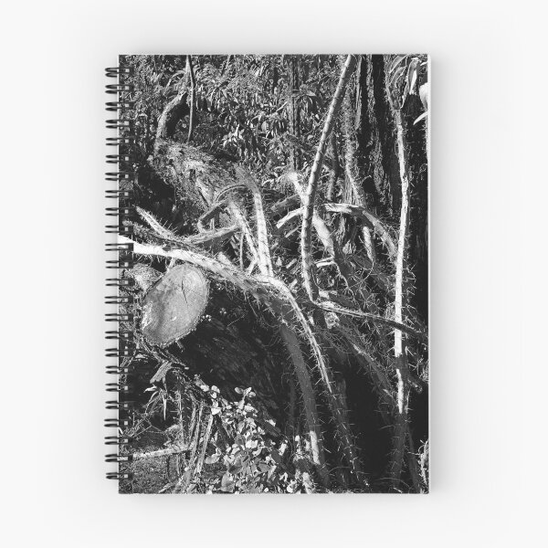 Item preview, Desert Study 24a  designed and sold by Robert Meyers-Lussier.