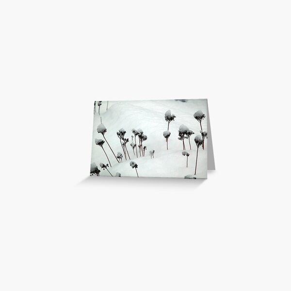 Item preview, Winter at Brockley Cemetery  designed and sold by JohnGaffen.