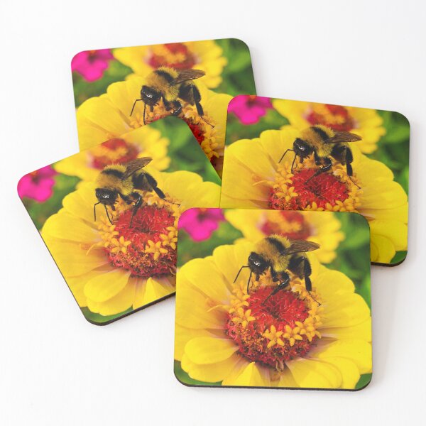 Item preview, Busy Bee by Jerald Simon (Music Motivation - musicmotivation.com) designed and sold by jeraldsimon.