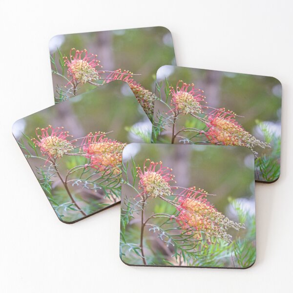 Item preview, NT ~ Pine Creek, Northern Territory, Grevillea by David Irwin 230919 designed and sold by tasmanianartist.