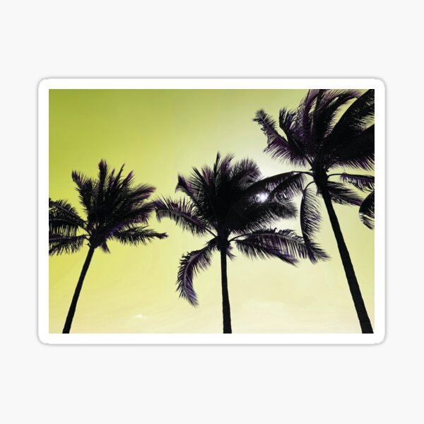 Palm Tree Paradise by Jerald Simon (Music Motivation) Sticker