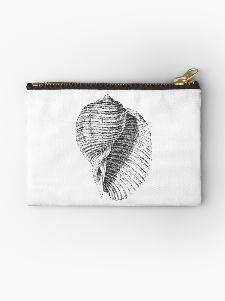 Seashell, Sea Shell, Conch Shell, Vintage Shells, Vintage Seashells, Vintage Sea Shells, Black and White,  Zipper Pouch for Sale by  EclecticAtHeART