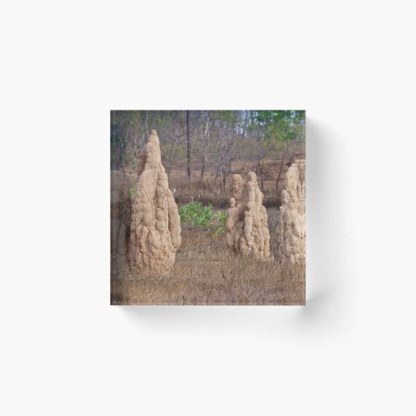 Item preview, NT ~ Mount Bundy Station, Northern Territory, Termite Mounds by David Irwin 230919 designed and sold by tasmanianartist.