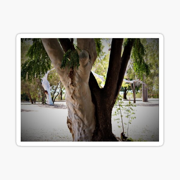 Item preview, Yin and Yang Trees designed and sold by KazM.