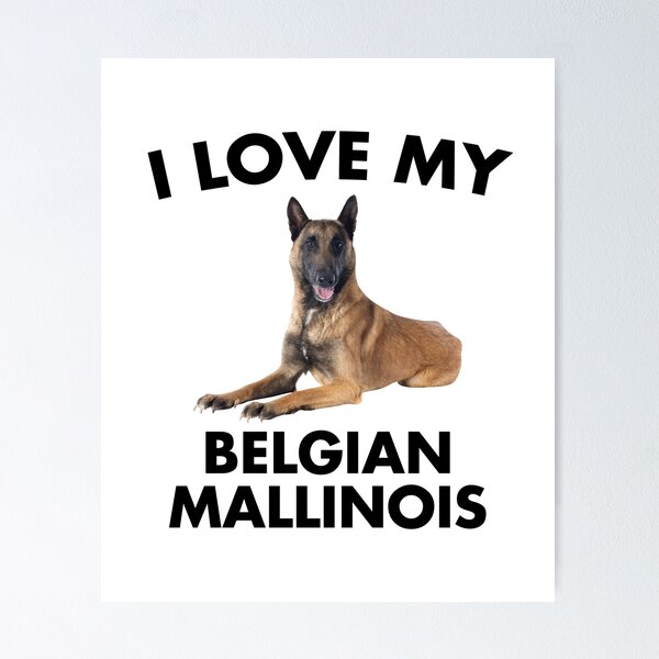 Item preview, I Love My Belgian Mallinois designed and sold by EstelleStar.