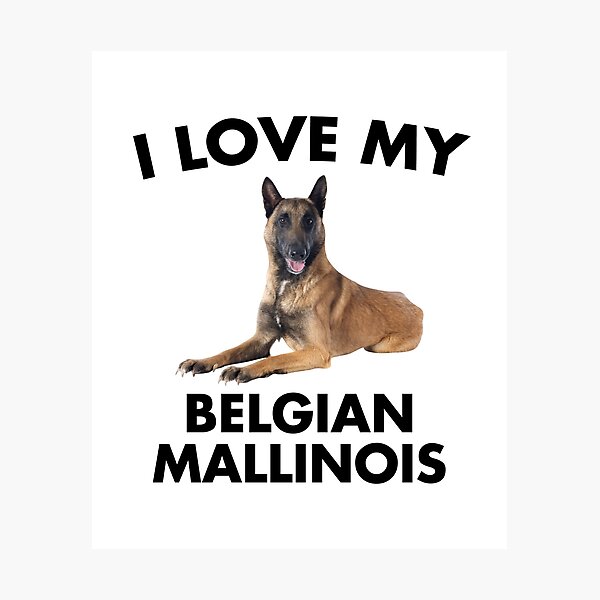 Item preview, I Love My Belgian Mallinois designed and sold by EstelleStar.