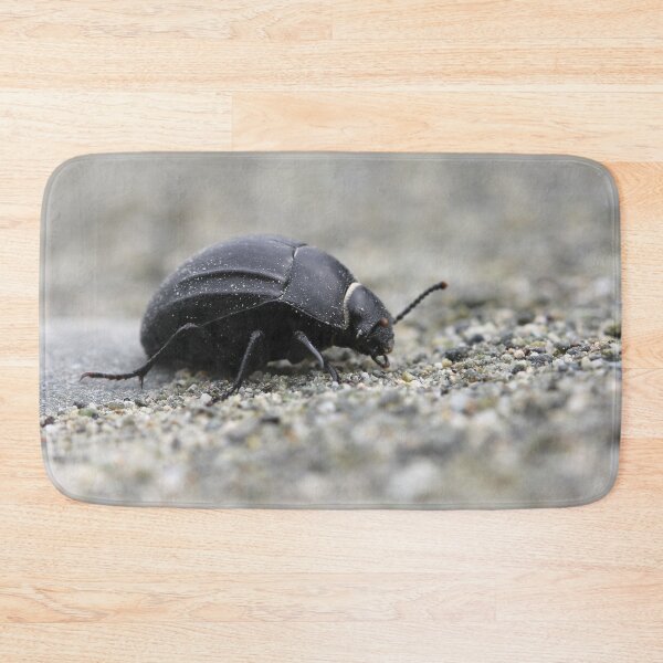 Item preview, Is it a Car? Or is it a Beetle? designed and sold by cuprum.