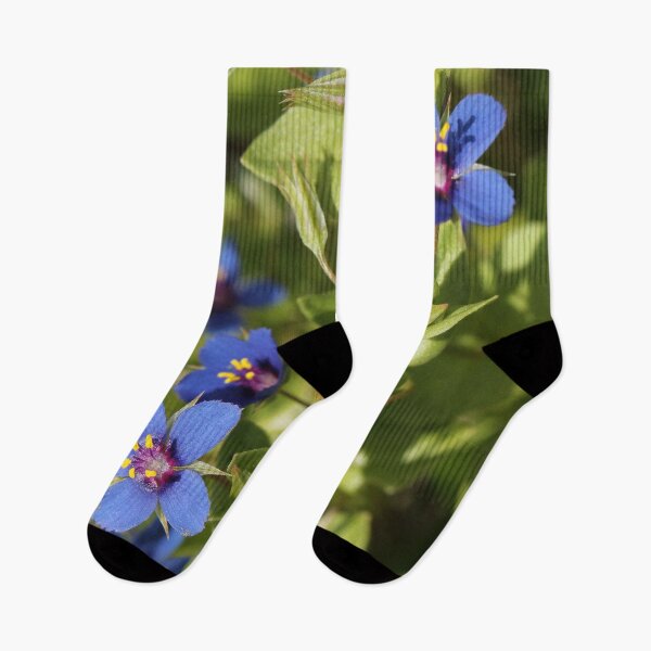 Item preview, Blue-scarlet Pimpernel designed and sold by cuprum.