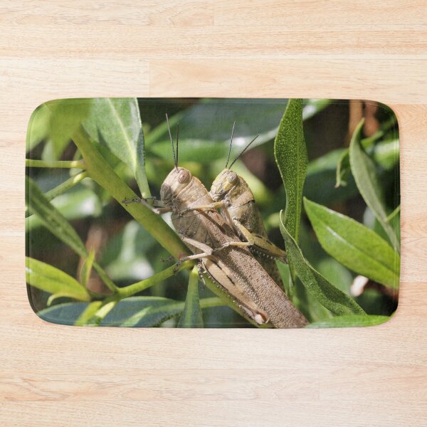 Item preview, Hop Along! designed and sold by cuprum.