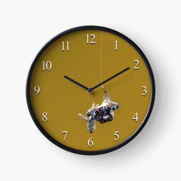 Along Came a Spider ... Clock