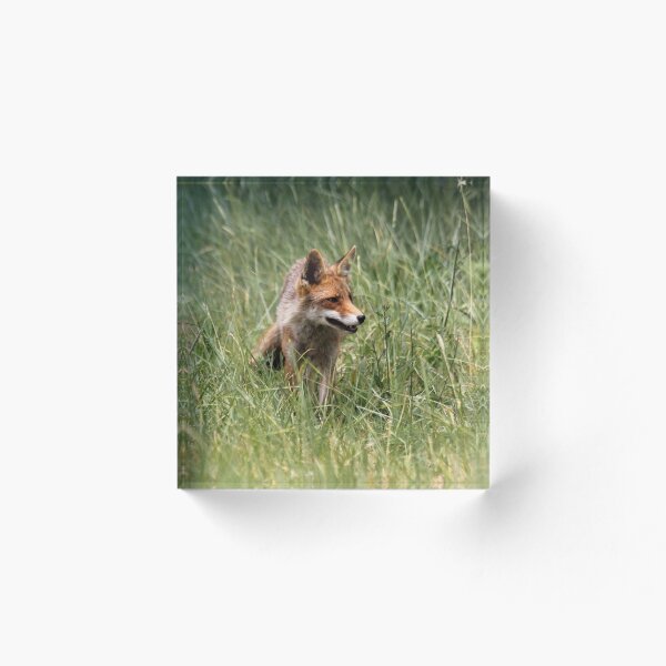 Item preview, Renard designed and sold by cuprum.