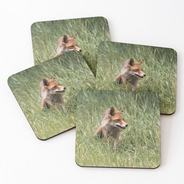 Item preview, Renard designed and sold by cuprum.