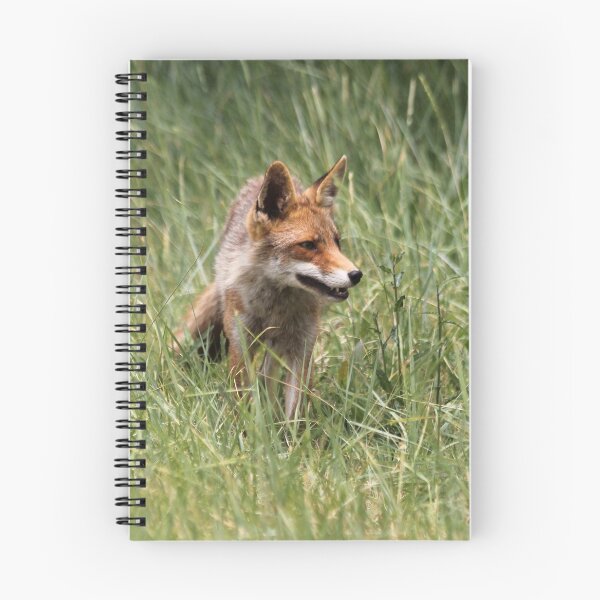 Item preview, Renard designed and sold by cuprum.