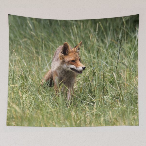 Item preview, Renard designed and sold by cuprum.