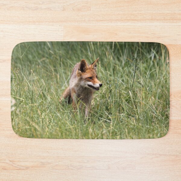 Item preview, Renard designed and sold by cuprum.