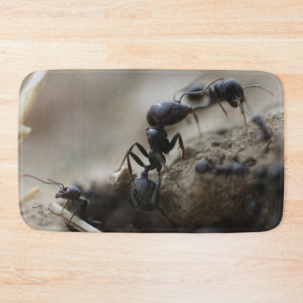 Item preview, The manager designed and sold by cuprum.