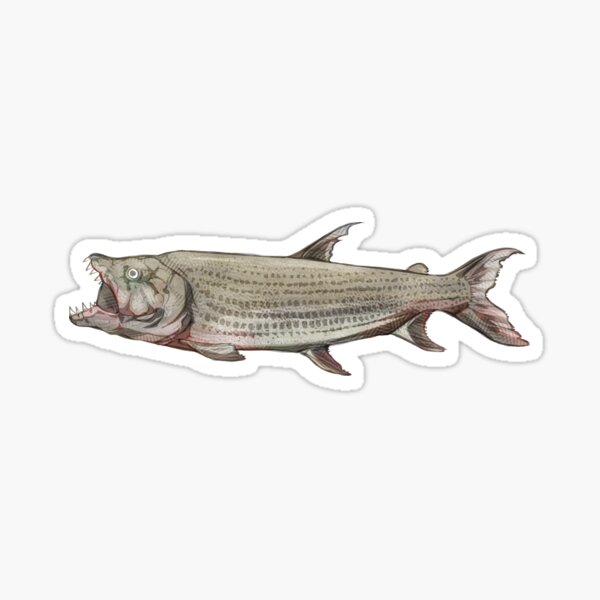 Freshwater Fishing Stickers for Sale, Free US Shipping