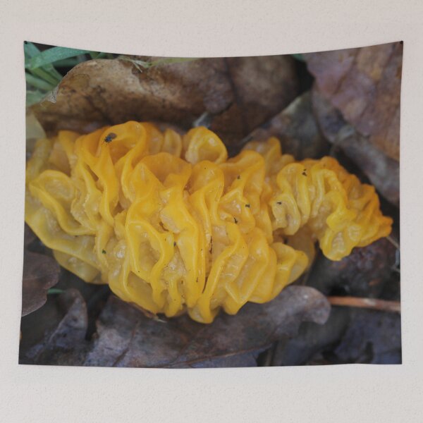 Item preview, Yellow Brain designed and sold by cuprum.