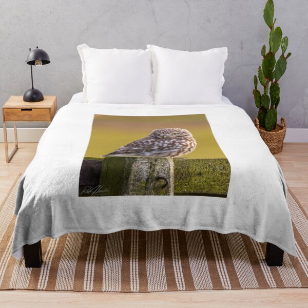 Item preview, Little Owl designed and sold by Rosscoe1985.