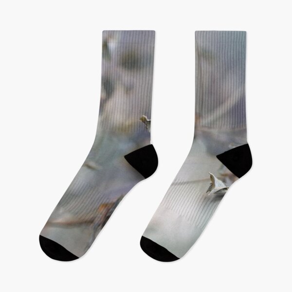 Item preview, Nature's winter pastels designed and sold by cuprum.