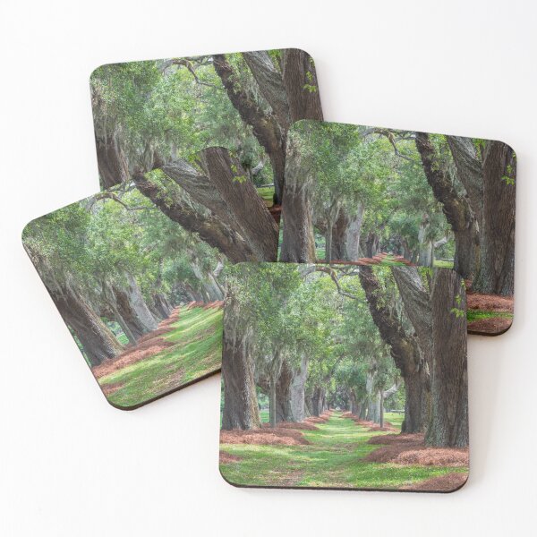Item preview, Avenue of Oaks Over Grass designed and sold by dbvirago.