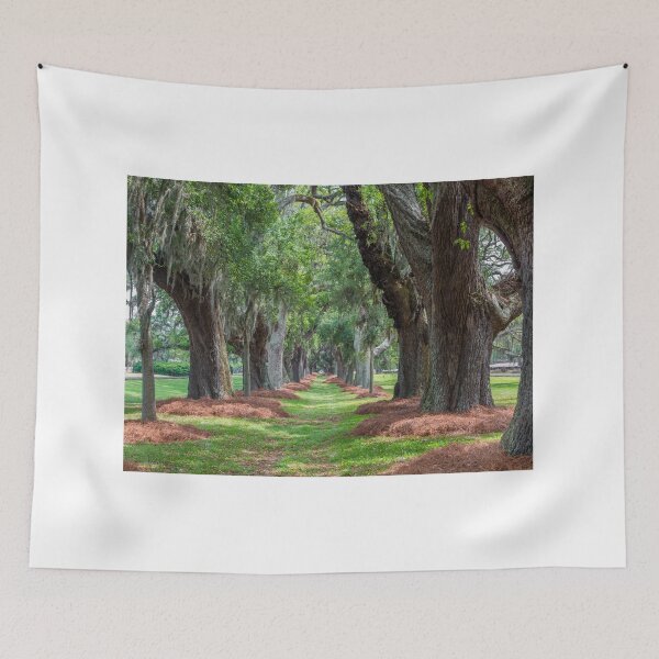 Item preview, Avenue of Oaks Over Grass designed and sold by dbvirago.