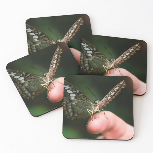 Item preview, Clipper butterfly on a finger designed and sold by GreyFeatherPhot.