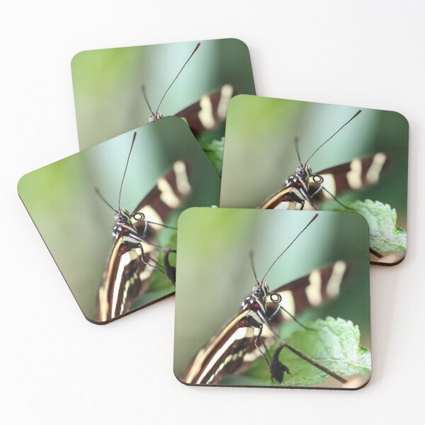 Item preview, Zebra longwing close up designed and sold by GreyFeatherPhot.