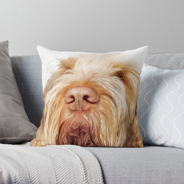 Waiting for you Spinone Throw Pillow