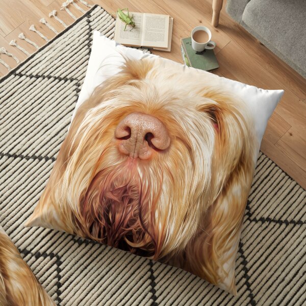 Waiting for you Spinone Floor Pillow
