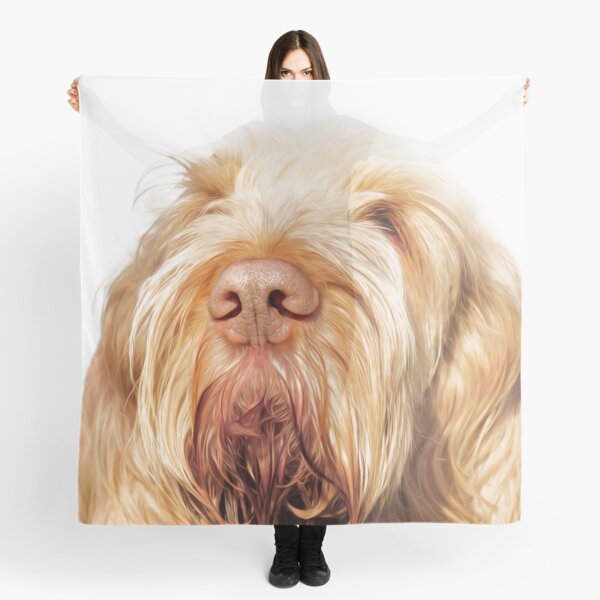 Waiting for you Spinone Scarf